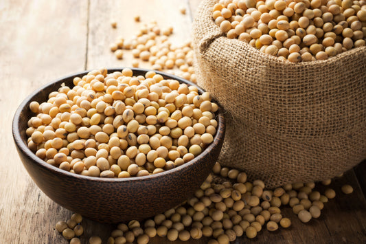 Organic Soybean - 1 Kg Pack